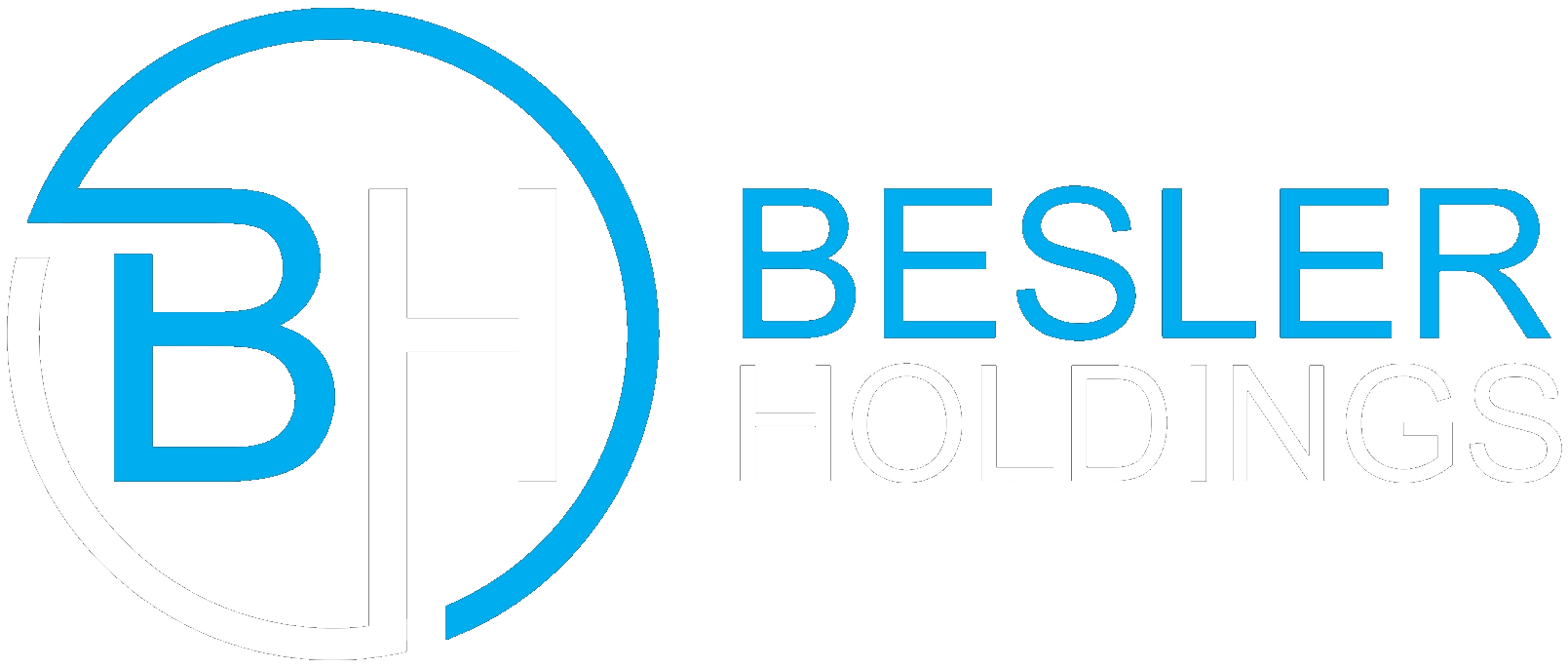 Besler Holdings